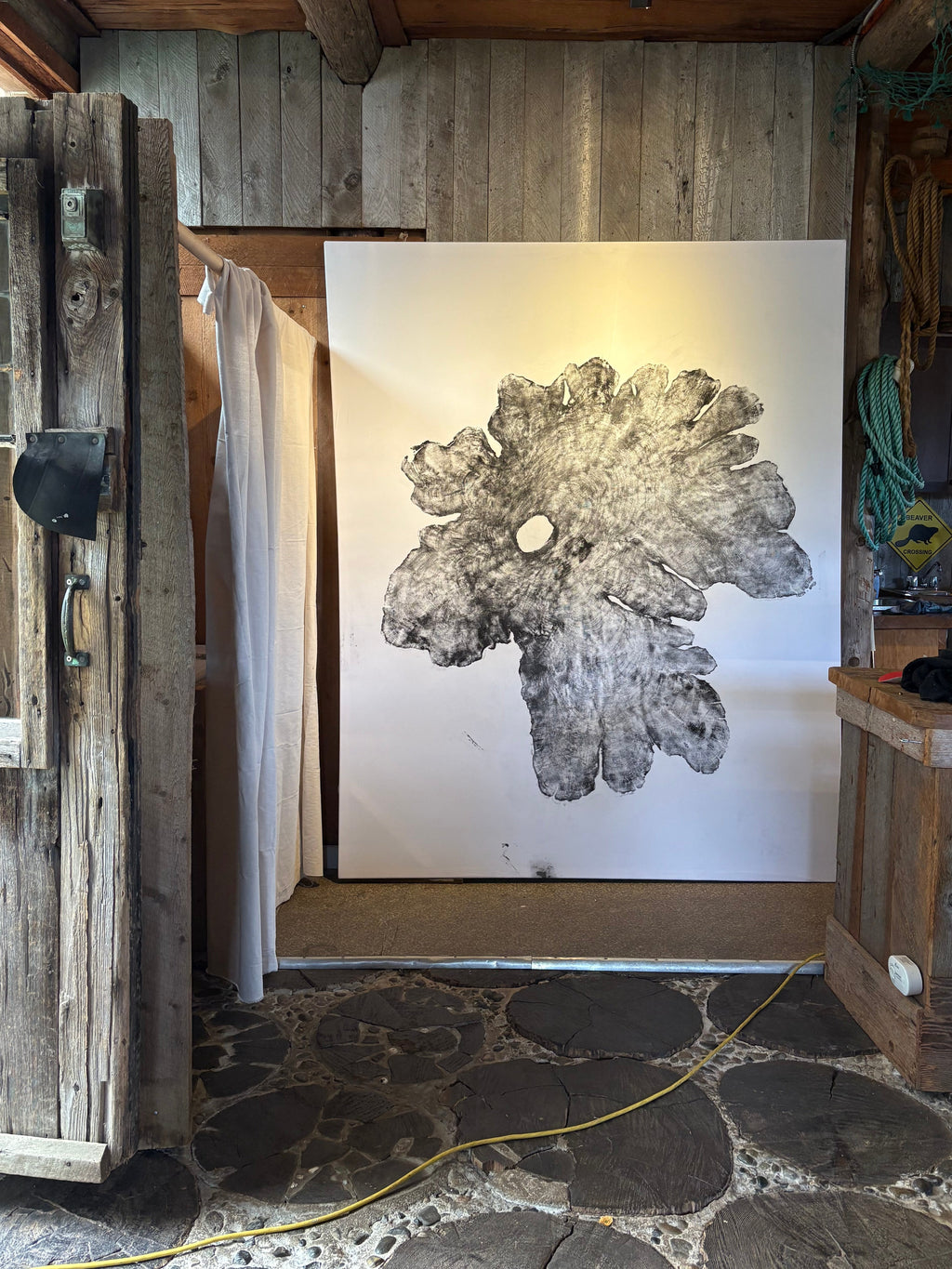 Grandmother Cedar Stump Print - Original