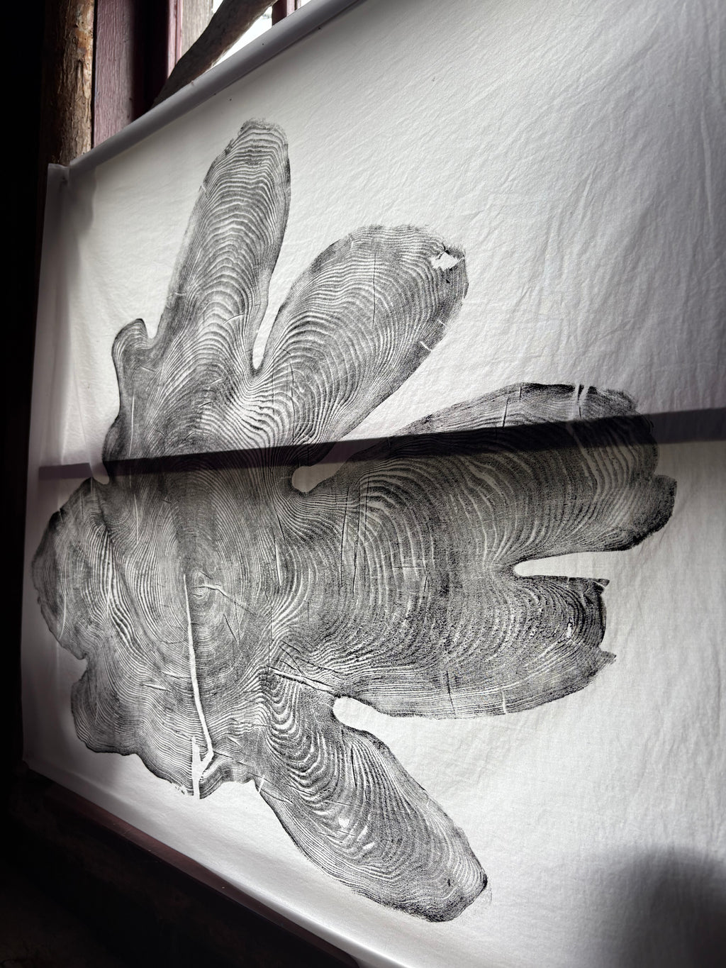 Figured Red Cedar - Tapestry