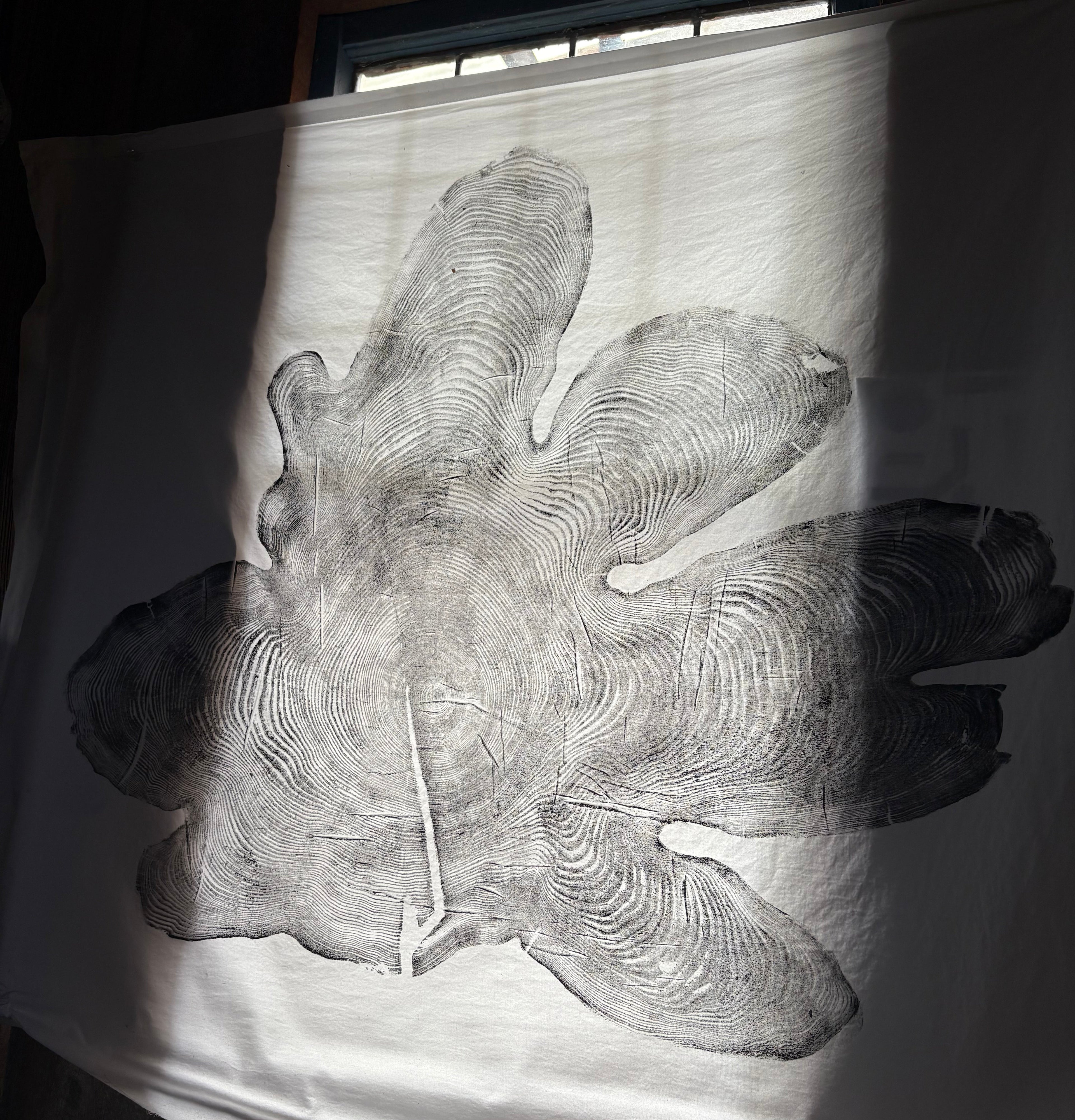 Figured Red Cedar - Tapestry