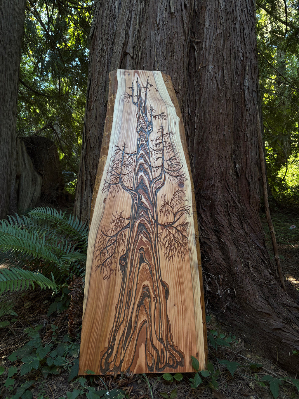 Grandmother Tree - Carving