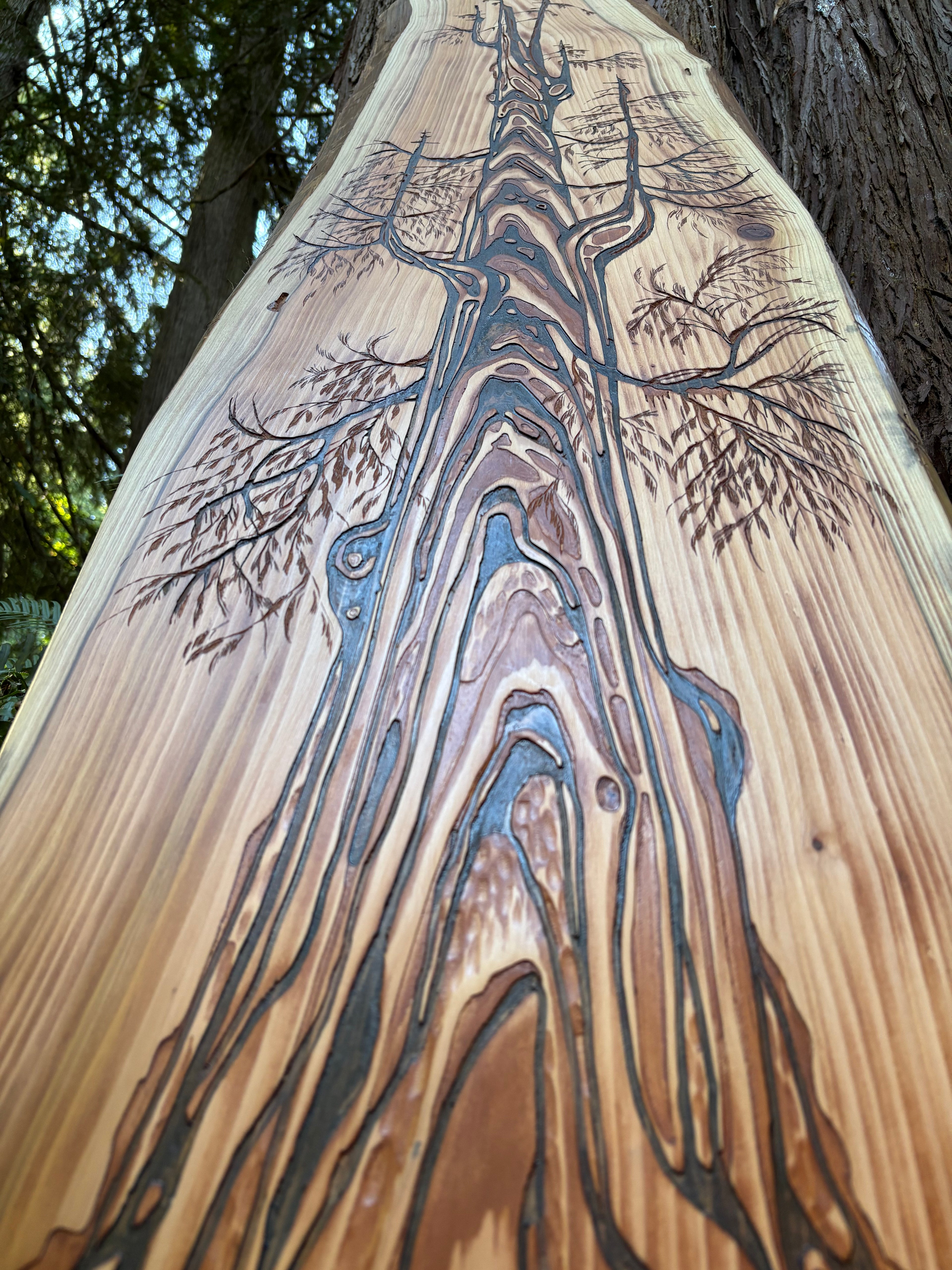 Grandmother Tree - Carving