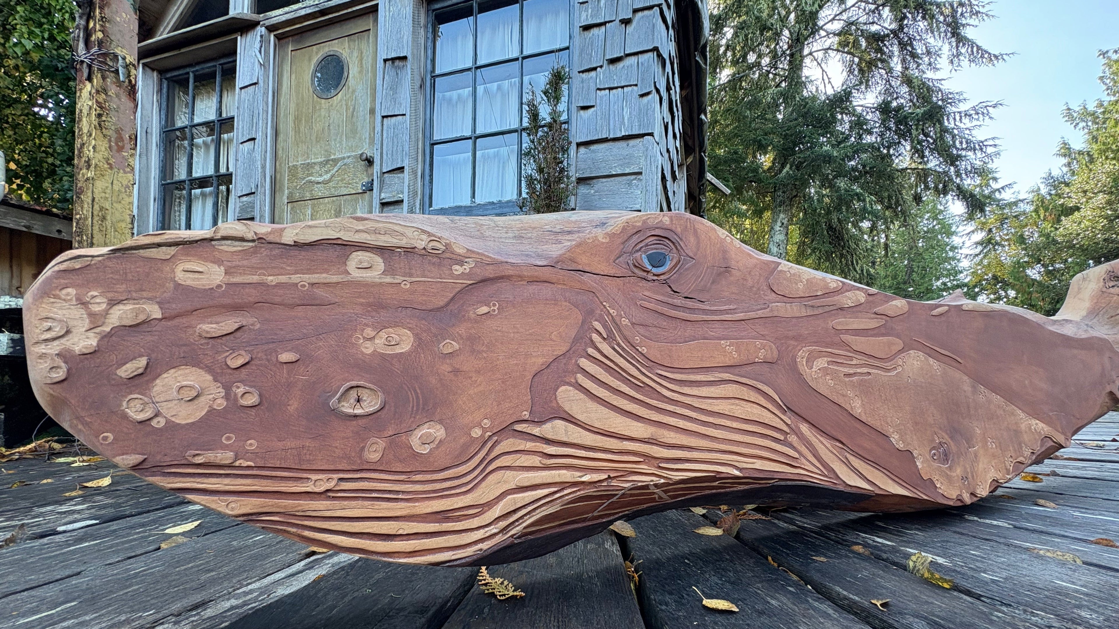 Billge The Humpback - Carving