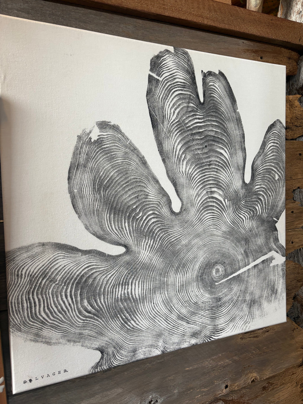 Figured Red Cedar - Tapestry